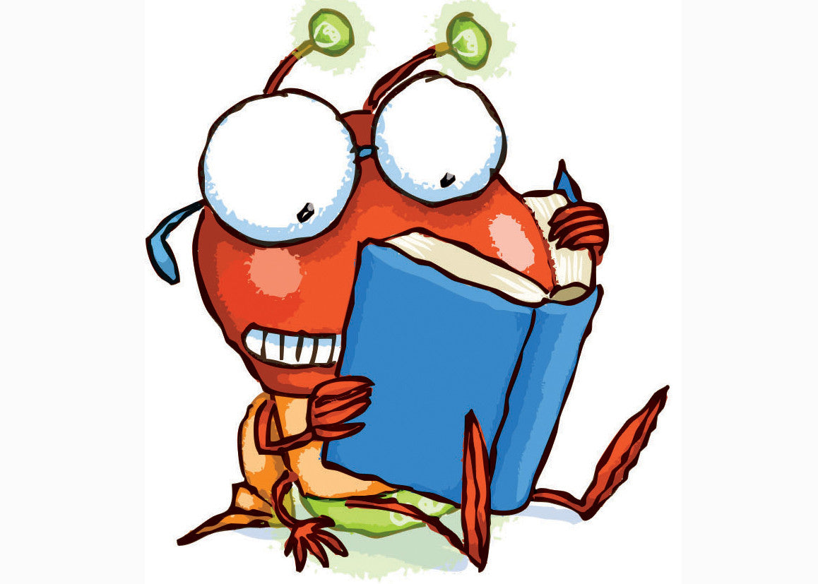 Kids Reading Game Ages 3+ - Catch the Reading Bug First Words & Sentences Game